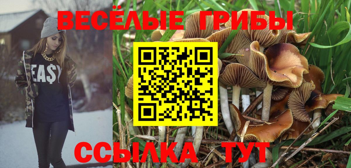 Псилоцибиновые грибы Cubensis Егорьевск