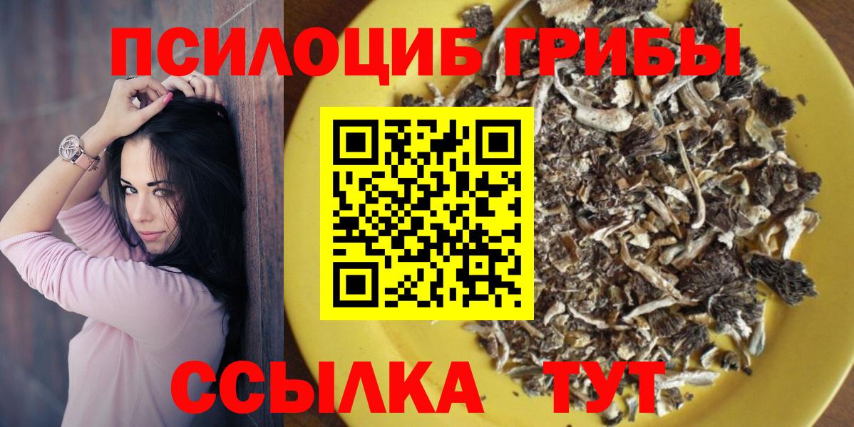 сколько стоит  Псилоцибиновые грибы ЛСД  Вход с VPN  Егорьевск 